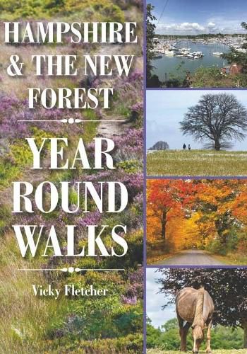 Cover image for Hampshire & The New Forest Year Round Walks