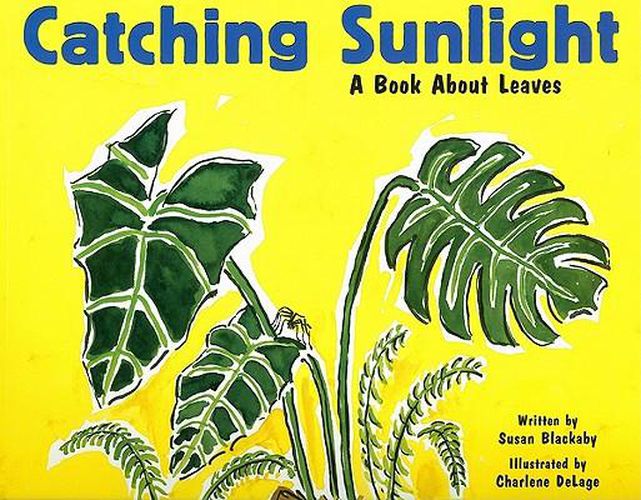 Catching Sunlight: A Book About Leaves