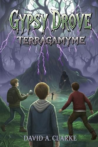 Cover image for Gypsy Drove