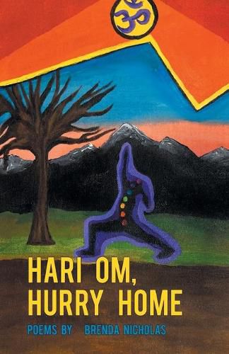 Cover image for Hari Om, Hurry Home