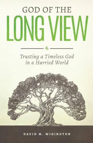 Cover image for God of the Long View: Trusting a Timeless God in a Hurried World
