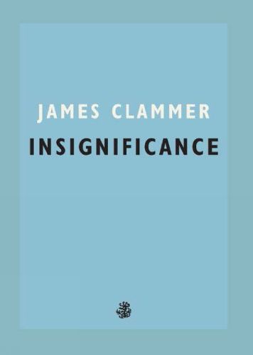 Cover image for Insignificance