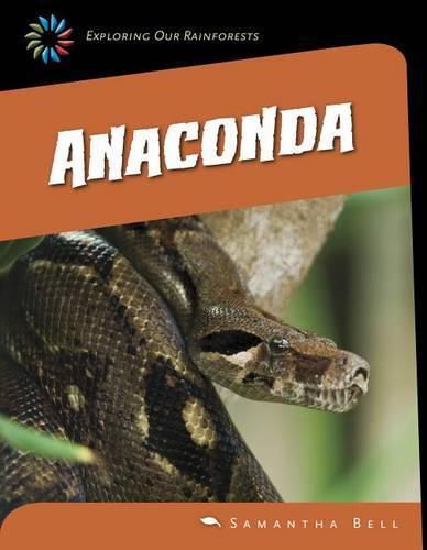 Cover image for Anaconda