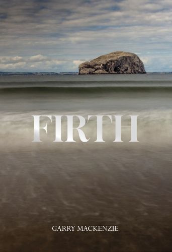 Cover image for Firth