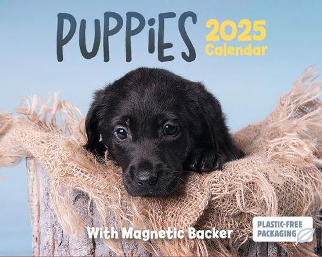 2025 Puppies Mini Box