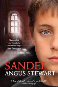 Cover image for Sandel: A Novel