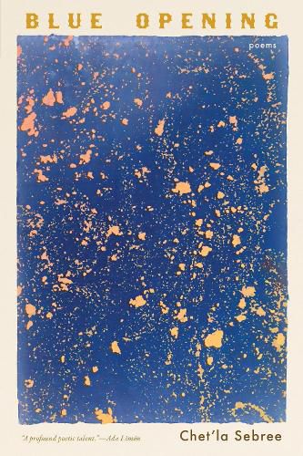 Cover image for Blue Opening