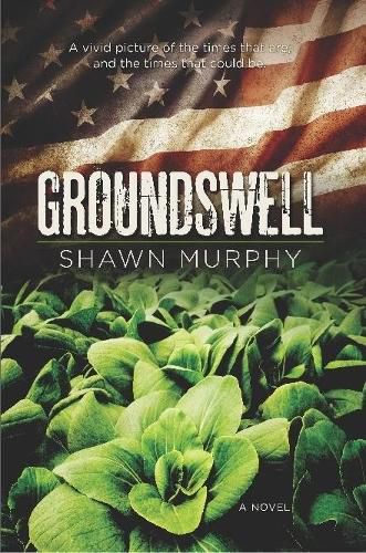 Cover image for Groundswell