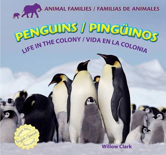 Cover image for Penguins: Life in the Colony / Pinguinos: Vida En La Colonia