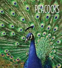 Cover image for Peacocks