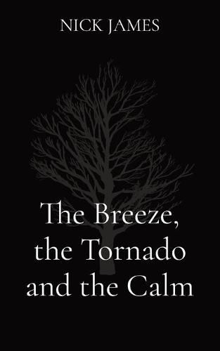 Cover image for The Breeze, the Tornado and the Calm