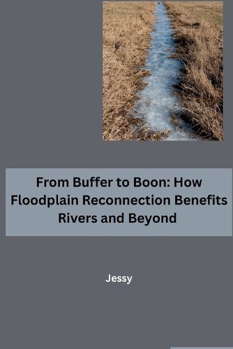 Cover image for From Buffer to Boon