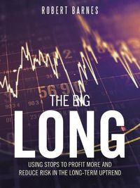 Cover image for The Big Long