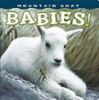 Cover image for Mountain Goat Babies!