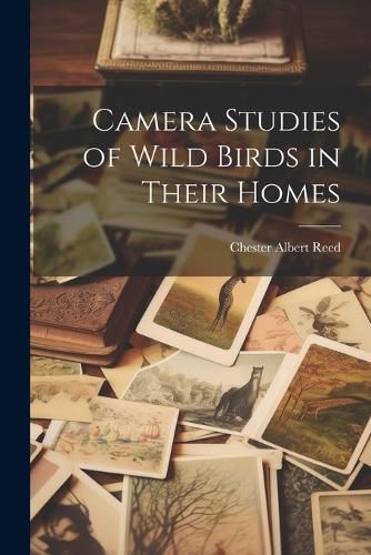 Camera Studies of Wild Birds in Their Homes