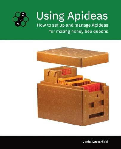 Cover image for Using Apideas