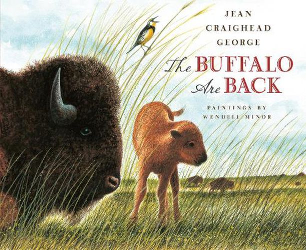 Cover image for The Buffalo Are Back