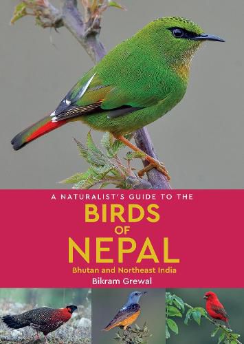 Cover image for A Naturalist's Guide to the Birds of Nepal