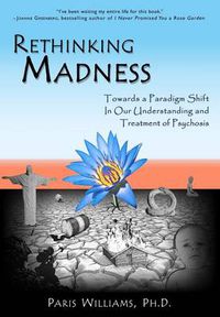 Cover image for Rethinking Madness: Towards a Paradigm Shift in Our Understanding and Treatment of Psychosis