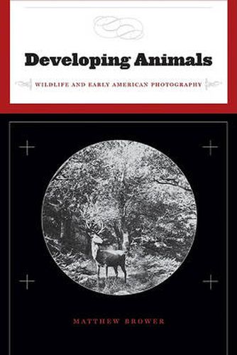Cover image for Developing Animals: Wildlife and Early American Photography