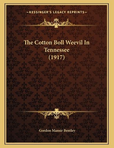 Cover image for The Cotton Boll Weevil in Tennessee (1917)