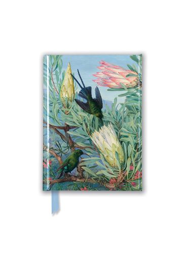 Cover image for Foiled Pocket Journal #99: Kew Gardens&#39; Marianne North, Honeyflowers And Honeysuckers