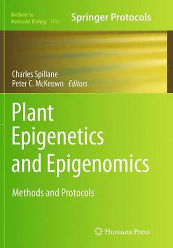 Cover image for Plant Epigenetics and Epigenomics: Methods and Protocols