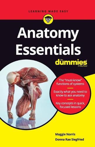 Cover image for Anatomy Essentials For Dummies