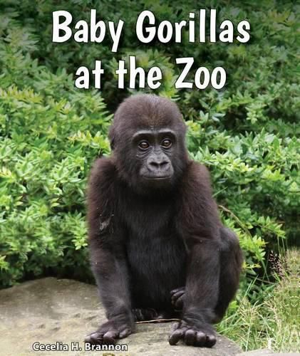 Cover image for Baby Gorillas at the Zoo
