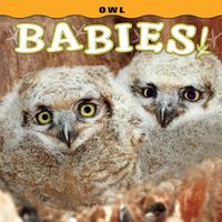 Cover image for Owl Babies!