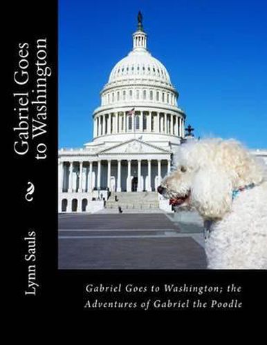 Cover image for Gabriel Goes to Washington: Through Big Brown Eyes; the Adventures of Gabriel the Poodle