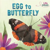 Cover image for Life Cycles: Egg to Butterfly