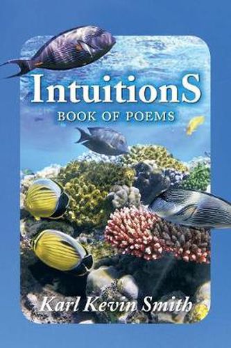 Cover image for Intuitions
