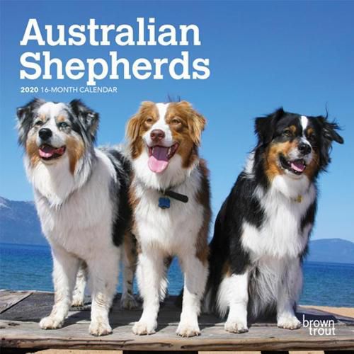 Australian Shepherds 2020 Mini 7x7