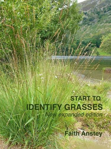 Start to Identify Grasses