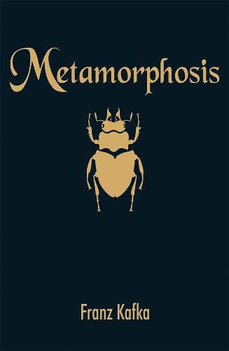 Cover image for Metamorphosis