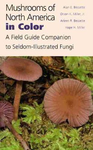 Cover image for Mushrooms of North America in Color: A Field Guide Companion to Seldom-Illustrated Fungi