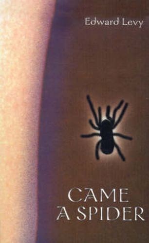 Cover image for Came a Spider