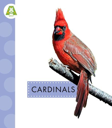 Cover image for Cardinals