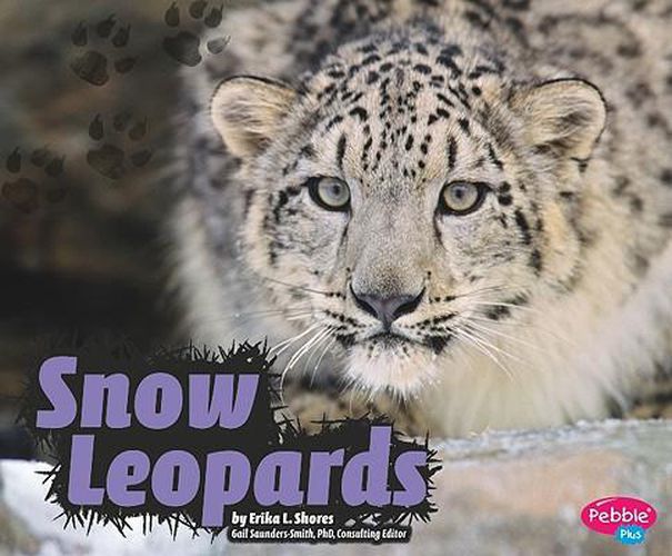 Cover image for Snow Leopards