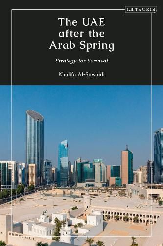 Cover image for The UAE after the Arab Spring