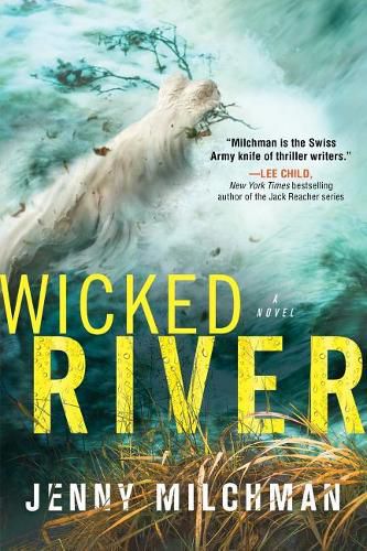 Cover image for Wicked River