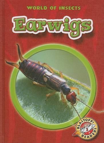 Cover image for Earwigs
