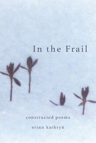 Cover image for In The Frail