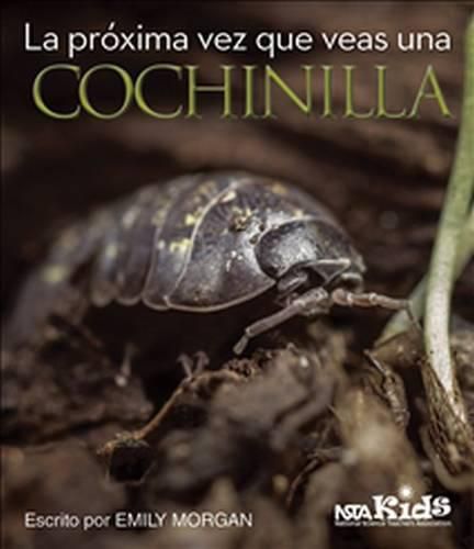 Cover image for La Proxima Vez Que Veas una Cochinilla