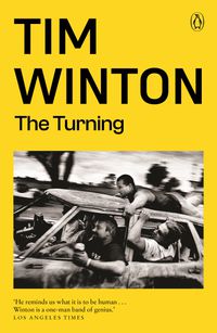 Cover image for The Turning