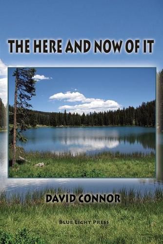 Cover image for The Here and Now of It