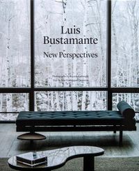 Cover image for Luis Bustamante: New Perspectives