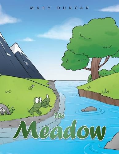 Cover image for The Meadow