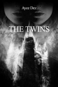 Cover image for The Twins